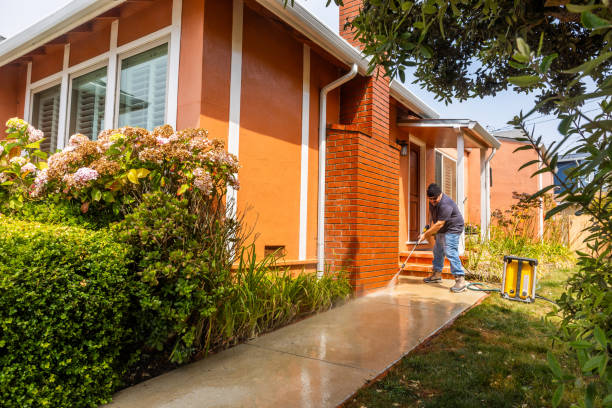 Best Pressure Washing Services Near Me  in Spring Valley, IL