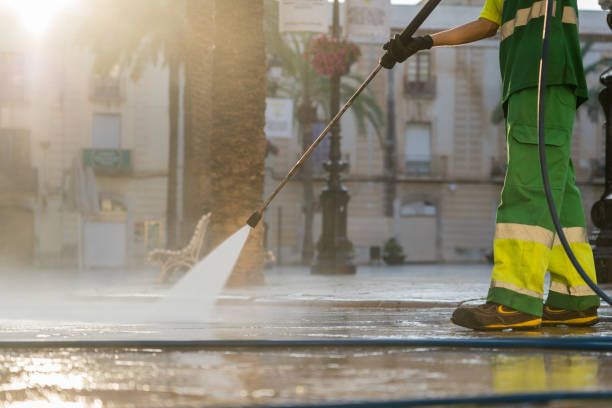 Best House Pressure Washing  in Spring Valley, IL