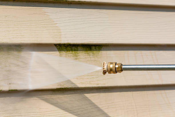 Best Garage Pressure Washing  in Spring Valley, IL