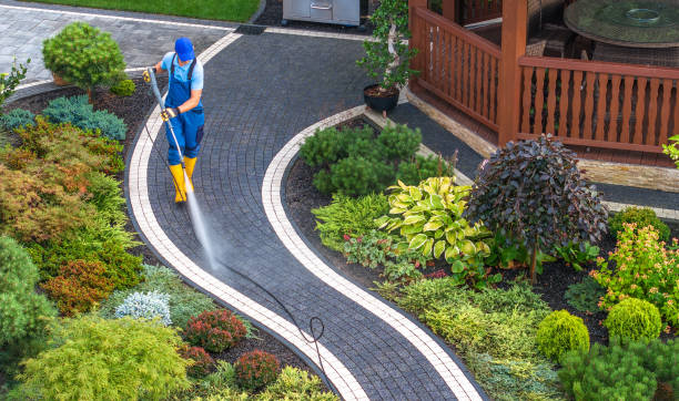 Best Power Washing Near Me  in Spring Valley, IL