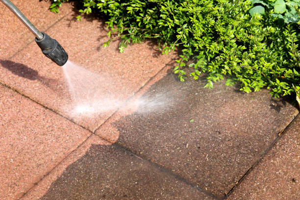 Best Roof Pressure Washing  in Spring Valley, IL